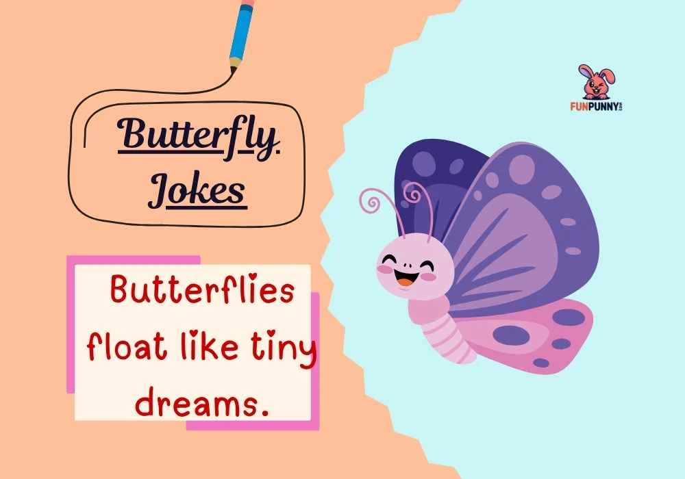 Butterfly Jokes